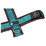 anny-x Brustgeschirr Fun braun Petrol - Gr. M