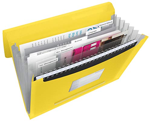 Preisvergleich Produktbild Esselte 624020 Fächermappe VIVIDA, A4, PP, 6 Fächer, gelb