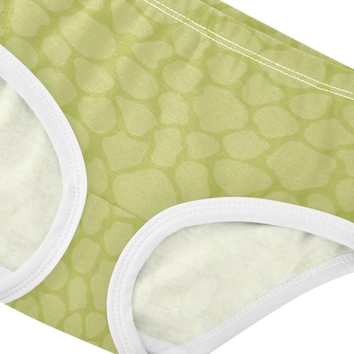 Panties Underwear Moisture Wicking Comfort Underwear for Toddlers in Sizes 2T,3T, 4T, 5T, 6Y and 8Y4