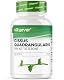 Cissus quadrangularis Vit4ever 180 Kapseln mit 720 mg Extrakt