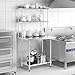 Giantex 36 Inch Stainless Steel Overshelf with Adjustable Lower Shelf, 2 Tier Commercial Double Overshelf for Kitchen Prep Table Restaurant
