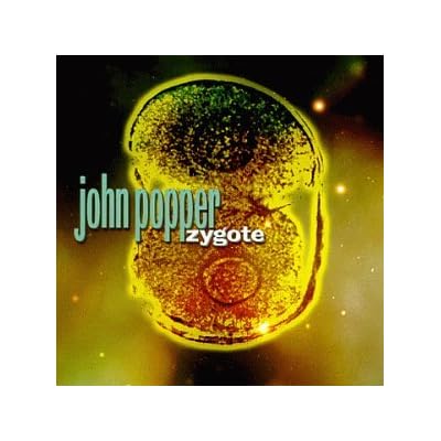 Zygote
