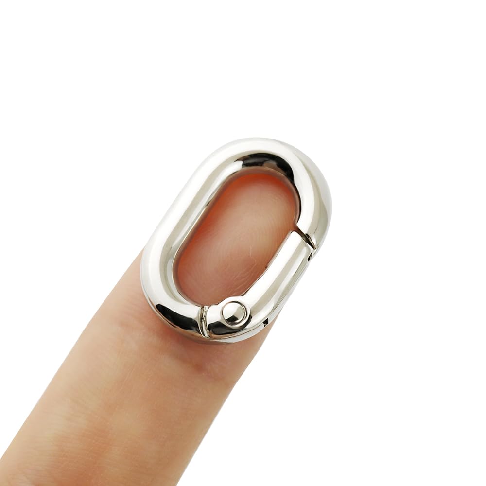 10 PCS TANJUN Carabiner Metal Spring Key Ring, Spring Keyring Buckle, Oval Ring for Bags,Purses