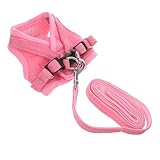 Kisangel Arné Reflectante para Perros con Correa Chaleco Acolchado De para Bichón Diseño Cómodo y Transpirable Talla XS Color