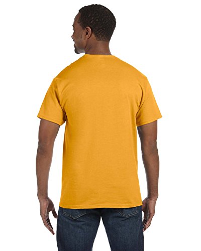 Image of Gildan Men's G500 T-Shirt