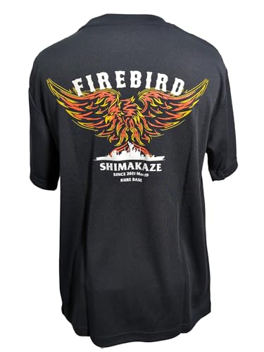 [̃tW] qObY TVc (K ܂ Type1) C㎩q  hC  qObY FireBird ΂̒ (BK,3L)