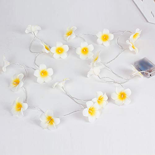 Andoer 20 LEDs 9,84 pés de luz de corda em forma de flor piscando luzes de fada branco quente luzes