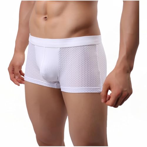 Men's Mesh Boxer Briefs Breathable Low Waisted Underwear Ice Silk Briefs for Men3