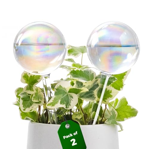 Bamworld Globes d’Arrosage 2Pcs Automatique pour Plantes d’Intérieur et d’Extérieur Système d’Irrigation Autonome Réserve d’Eau Boule en Verre...