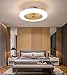 SLZ Ceiling Fan with Lighting, LED Fan Ceiling Fan, 36 W, Ceiling Lighting, dimmable with Remote Control, 3 Files, Adjustable Wind Speed, Modern bedroom58CM,Clear