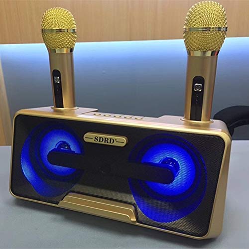 Microphone LLD SD-301 avec double micro sans fil et haut-parleur Bluetooth doré - 3