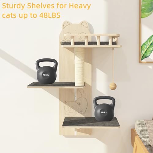 Estantes de pared para gato, kit de 3 plataformas miniatura 5