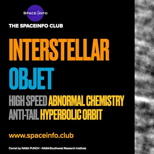 Interstellar Comet or Alien Spacecraft?