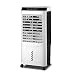 Ventilatore Portatile per Condizionatore D'aria, Raffreddatore D'aria Evaporativo Portatile Industriale, Grande Raffreddatore D'aria Da 6500 M / H, Con Capacità Del Serbatoio Dell'acqua da 42 Litri