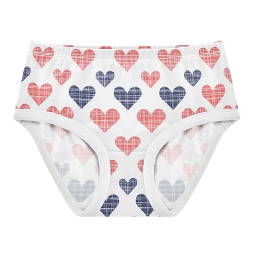 ZZKKO Red Blue Heart Love Girls Underwear Toddler Panties for Girls Comfort Brief Size 2T-8Y
