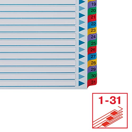 Esselte 100164 A4 1-31 Index, Heavy Duty Cardboard With Mylar Reinforced Tabs, Multicolour #TOP2