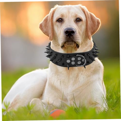 Collier pour chien à pointes cuir PU large avec rivets de sécurité et boucle métal