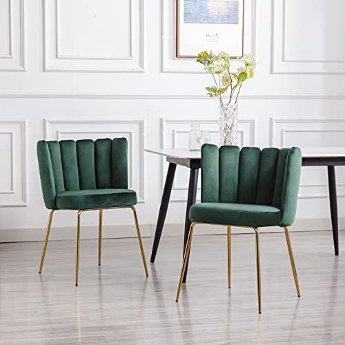 Chairus Dining Chairs Set Of 2, Comfy Living Room Chairs Modern Velvet Upholstered Accent Chair For Kitchen Vanity Bedroom With Curved Back & Gold Metal Legs, Dark Green #TOP5