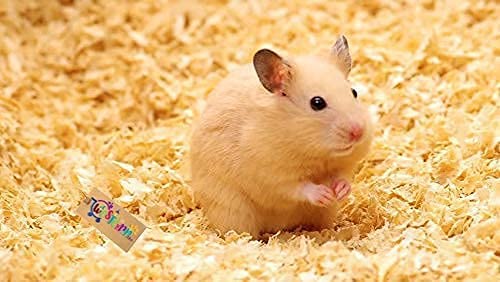 Chipsi-Classic-Wood-Shavings-BeddingLitter-for-All-Small-AnimalsSuitable-for-Hamster-Rabbit-Guinea-Pigs-1-Kg