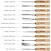 IMOTECHOM 12-Pieces Woodworking Wood Carving Tools Chisel Set with Canvas Bag, Razor Sharp CR-V 60 Steel Blades