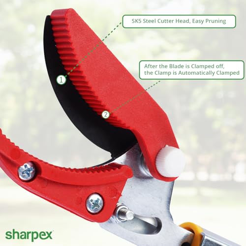 Image of Sharpex Heavy Duty 4.4 Feet Long Reach Pruner Aluminum Cut and Hold Pruner For Tree Branch Cutter & Trimming, Cutting Leaves, Fruit Picker | Cut Up to 2 Inch & Hold Easy Garden Pruning Tool