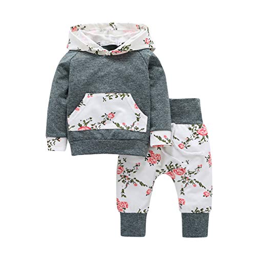Baby Girls Clothing Sets Flowers Long Sleeve Hoodie Tops Pants Outfit (Gray, 12-24 Months)