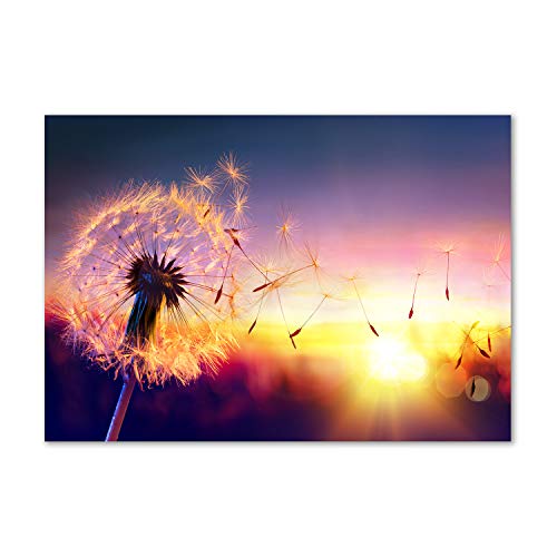 Fond de hotte Tulup 100x70 cm en verre trempé avec motif pissenlit multicolore