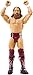 WWE Basic Figure, Daniel Bryan