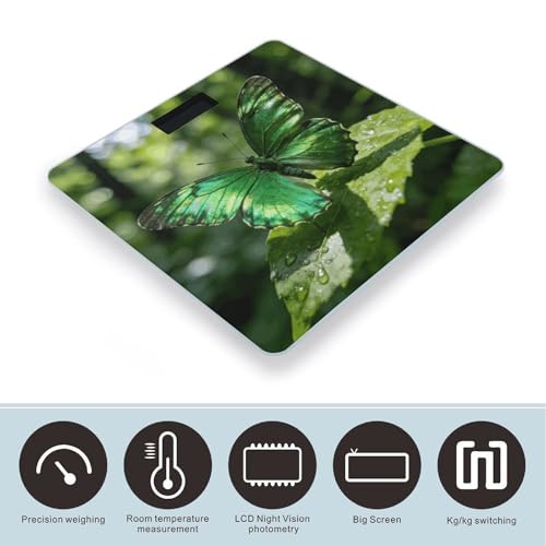 Báscula digital de baño Butterfly Green con sensores de alta precisión miniatura 3
