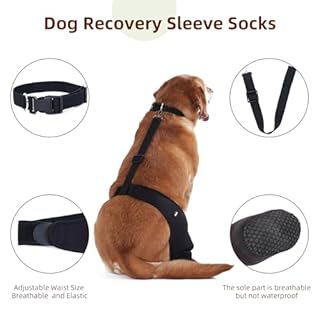 Dog Socks to Prevent Licking Paws ，Breathable Leg Sleeve to Stop Licking and Biting， Firm and Secure Adjustable Size Dog Recovery Sleeve Socks (S-Right)