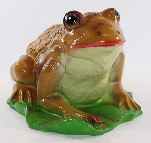 RAKSO Deko Garten Figur Gartenfigur Tierfigur Teichfigur Kröte Frosch groß auf Blatt aus Kunststoff Länge 28 cm