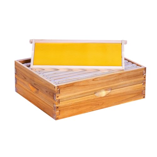 POLLIBEE 10 Frame Medium Super Beehive Box Langstroth Honey Bee Box Dipped in 100% Beeswax Include Bee Hive Frames and Wax Foundations (unassembled)