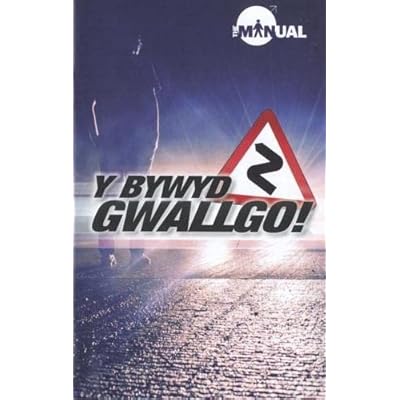 Bywyd Gwallgo!, Y