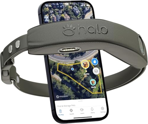 Halo Collar 4 Wireless Dog Fence & GPS Dog Collar, Keep Your Dog Safely Contained Outdoors with App-Controlled Boundaries and Real-Time Tracking, One Size, Graphite