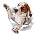 QQYYYT Adesivi Auto Adesivi 3D per Cani Winston Bear da 13 Cm Che Raggiungono Gli Adesivi Beagle per Pareti, Frigorifero, Servizi Igienici