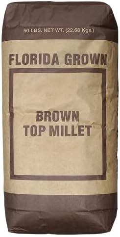 Brown Top Millet Seed 25 Lbs.