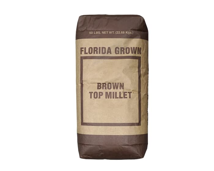 Dibbs Farms Brown Top Millet Seed (10 Lbs.)