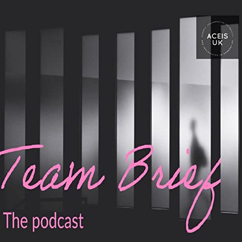 Couverture de Team Brief