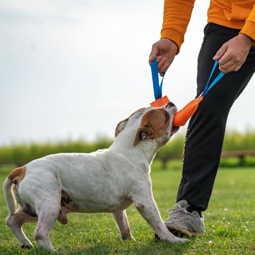 Bull Fit Beisswurst für Hunde, 30 cm, mit Zwei Schlaufen - Sehr Robustes Hundespielzeug zum Training, Tauziehen und Zerrspiele mit Hund - Aus hochwertigem Feuerwehrschlauch handgefertigt, orange