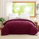 WAVVE Couette Tempérée 300GSM en Microfibre, Édredon Lit 2 Personnes 220x240...