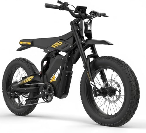 2000W Fat-Tire Dirt E-Bike