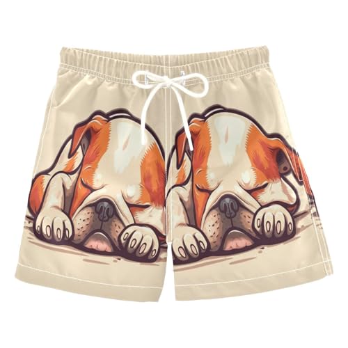 Boy Swimming Trunks, Swimwear for Toddler Boys 2t, Bully Bulldog Sleeping Cute Cartoon