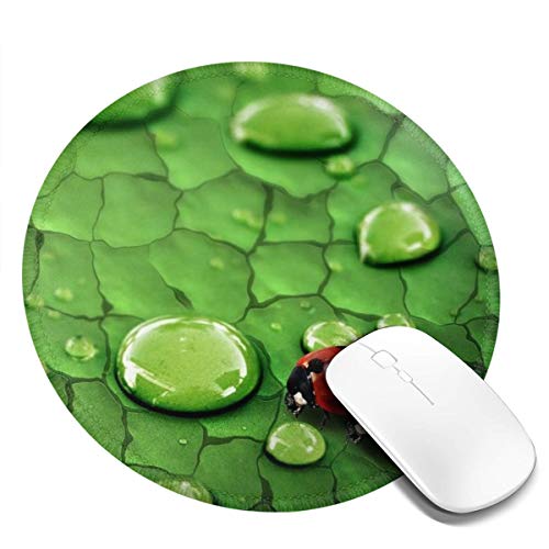 緑の葉 ミツバチ 雨滴 マウスパッド 円形 個性的 おしゃれ 柔軟 かわいい ゴム製裏面 ゲーミングマウスパッド Pc ノートパソコン オフィス用 丸型 デスクマット 滑り止め 耐久性が良い おもしろいパターン
