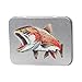 Fly Box for Fly Fishing Accessories, Compact Lightweight Storage with Sponge Insert, Durable Tinplate Lure Container for Outdoor Fishing Gear, 8.76 x 11.8 x 2.3 cm(A)