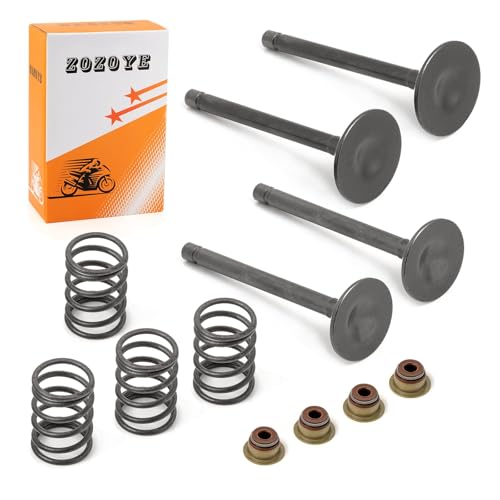 Image of Fugi Robbin 295cc 350cc Exhaust & Intake Valve & Seals Springs For EZGO 4 Cycle Gas Golf Cart MCI 2003-2008 (NO 1992-2002) 72857-G01 72507-G01