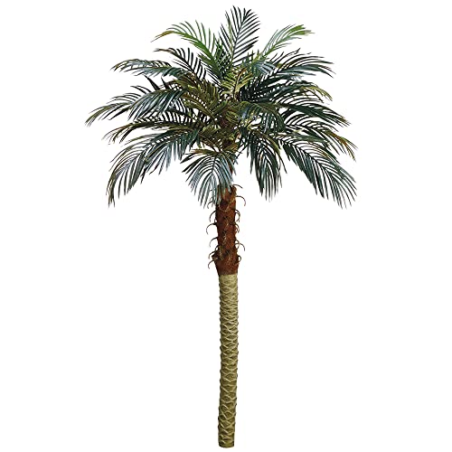6' Phoenix Palm Tree (Pack of 2)