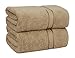 COTTON CRAFT Ultra Soft Bath Sheets - 2 Pack - 35 x 70 - Absorbent Quick Dry Everyday Luxury Hotel Bathroom Spa Gym Shower Beach Pool Travel Dorm - 100% Ringspun Cotton - 580 GSM - Easy Care - Linen