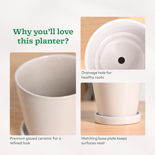 Image of UGAOO Table Top Ceramic Pot |Indoor Ceramic Planter for Home, Office, Garden, Balcony - White (4 Inch)