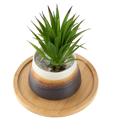6.5 Inch Modern Plant Stand & 5.5" Bamboo Saucer, Mid-Century Planter Holder, Plant Saucer, Round Bamboo Tray For Flower Pot, Planter Pot Tray, Prevent The Floor Wet, Not Include Planter Pot #TOP3