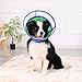 Halskrause Hund Weich, Schutzkragen Leckschutz Hund, Atmungsaktive Hunde Halskrause, Einstellbarer Hundekragen Leckschutz, Leicht Halskrausen für Hunde, Haustier Elisabethanischer(Size 1, Blue)